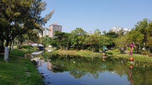 ТАЙВАНЬ ГАОСЮН ЦЕНТРАЛЬНЫЙ ПАРК 
KAOHSIUNG CENTRAL PARK TAIWAN