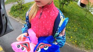 Хаги-Ваги и  Киси-Миси