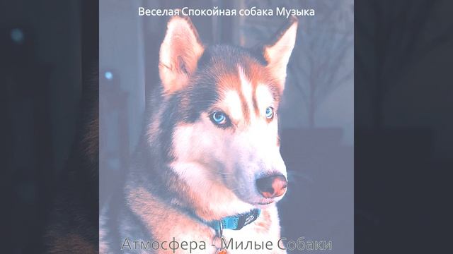 Атмосфера (Спокойные собаки) смотреть онлайн