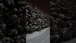 Сказочная прогулка на даче ❄️