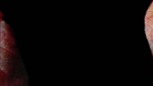 Emil & Elena GILELS play SCHUBERT Grand Rondeau 1 смотреть онлайн