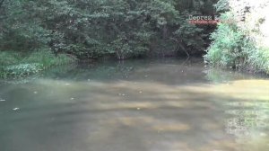 На кремешках Саров