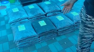 Биогумус. Весна 2022.