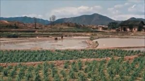 Cultural Revolution - Sailing the Seas Depends on the Helmsman & Others [Pinyin]