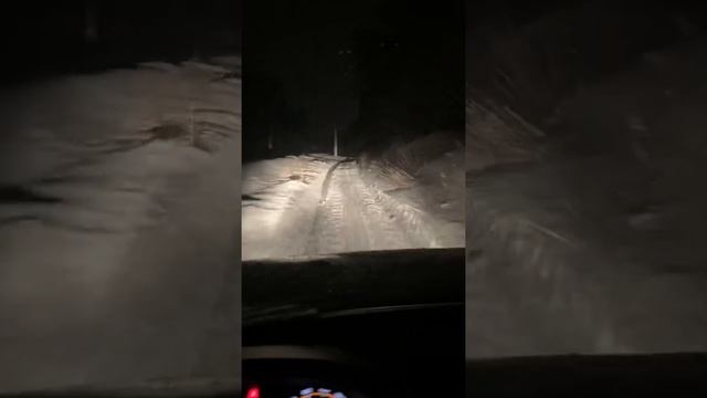 НИВА покатушки в Сосновом Бору 2020-2021