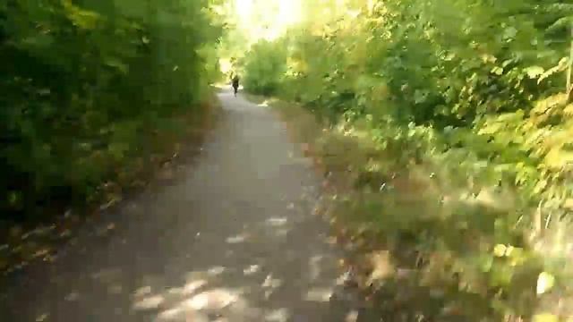 Ор в лесу смотреть онлайн