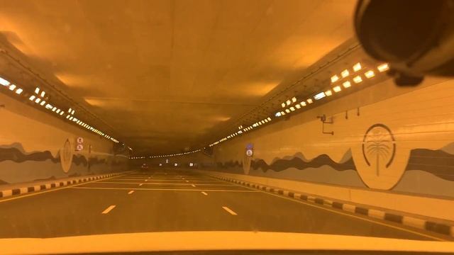 VLOG: Дубай / Прогулка по острову Palm Jumeirah / неудачная распродажа