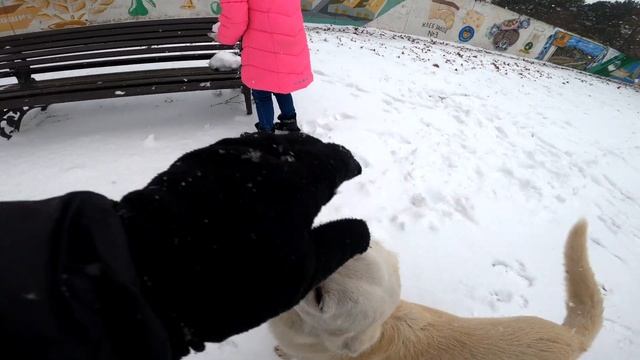 Краснодар Ботанический сад Первый снег