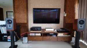 Cannonball - Damien Rice On Hegel H390 x Dynaudio Contour S1.4 x Fidelizer Nimitra Signature