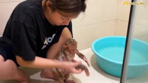 Monkey BiBi poop and called mom to help looks so funny