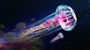Самое Мощное Исцеление во Сне ☀️ Матрица Гаряева для Регенерации и Исцеления Всего Тела во Время Сна