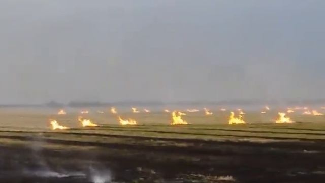 Горит поле вдоль трассы Одесса-Рени | Бессарабия INFORM смотреть онлайн