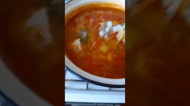 Щи со свежей капустой и помидорами( без томатной пасты).