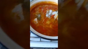 Щи со свежей капустой и помидорами( без томатной пасты).