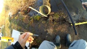 Ловля КАРАСЯ на поплавок и кивок.