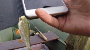Рыбалка на спиннинг с лодки Мокша Мордовия - кто это?