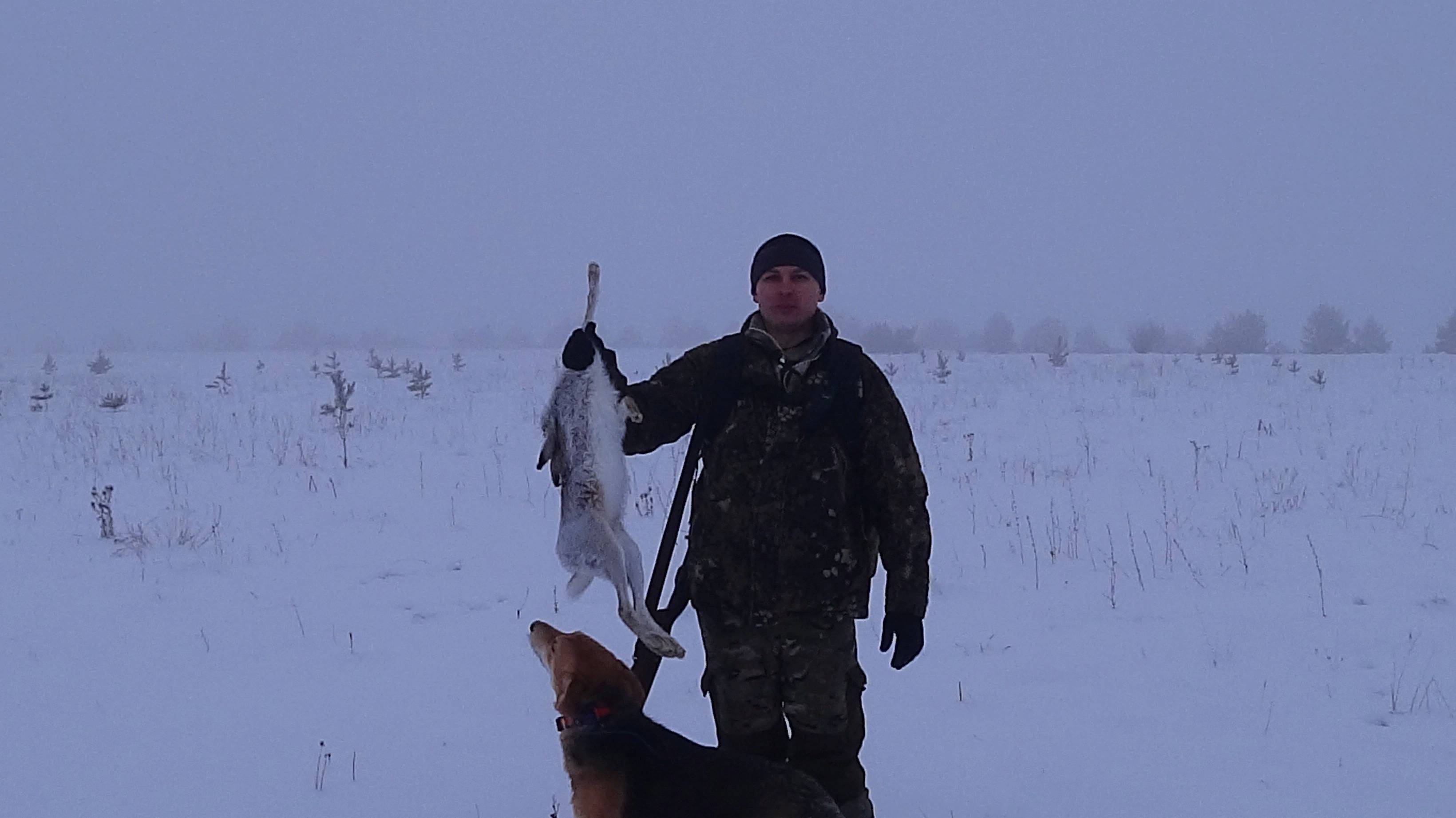 Охота на зайца с русской гончей.Шугай 8 месяцев 29.12.24 смотреть онлайн