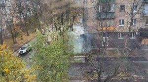 Заболели. Купила бутылку. Дождалась ванну. Теряю животных.