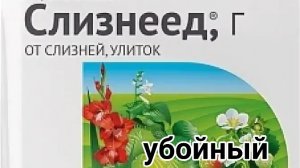 Слизнеед