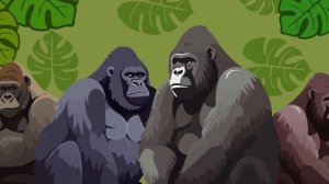 Gorillas! | The Mountain Gorilla Song | KLT WILD