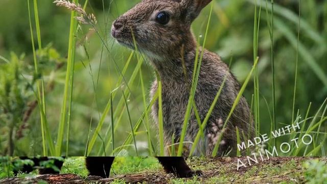 Деньщиков Роман смотреть онлайн