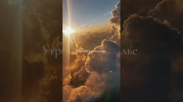 Утро без похмелья