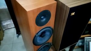 Audio Physic classic 8 - Primare I25 integrated amplifier with Dac module