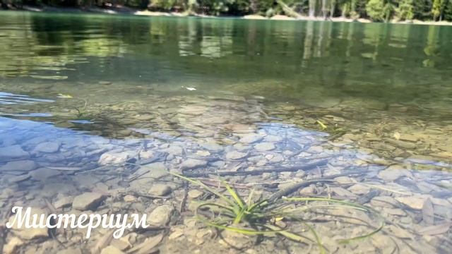 Лунный календарь СТРИЖКИ волос на АВГУСТ 2024. Благоприятные и неблагоприятные дни.