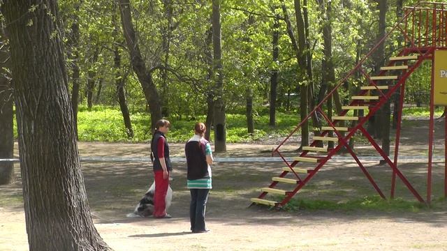 Чемпионат Москвы 2015 г. по ОКД и ЗКС.