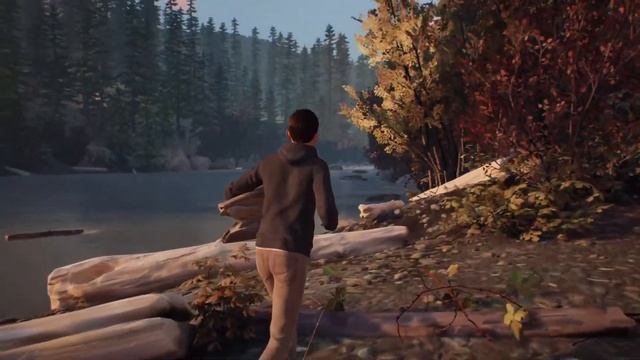 Life is Strange 2 - Путешествие братюнь! 2