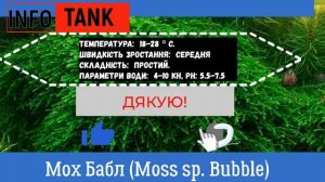 Мох Бабл
