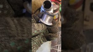 Замена сален блока заднего рычага !