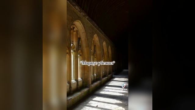 фф из тик тока про Драко Малфоя и т/и "больше чем враги" 💚🐍 часть 13 смотреть онлайн