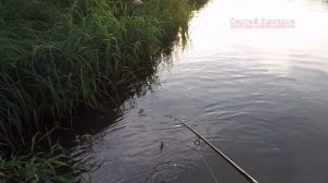 Рыбалка на спиннинг Мокша Мордовия как ловить щуку летом