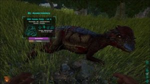 Как приручить пахицефалозавра | Pachycephalosaurus (Pachy) ARK:Survival Evolved