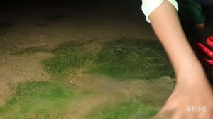 【ENG】夜晚海灘上的海螺都出來覓食，妹子看到直言太爽，撿回去爆炒