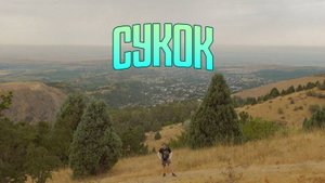 Лес Сукок. Свежий воздух в часе езды от Ташкента! Как добраться? Что посмотреть?