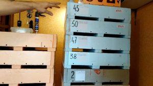 Маточный червь, коконы и ошибки в  технологии...