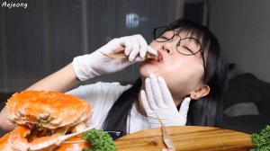 33년 인생 처음 먹어보는 홑게🦀다리회 몸통찜 먹방 RAW SNOW CRAB & STEAMED SNOW CRAB MUKBANG ASMR