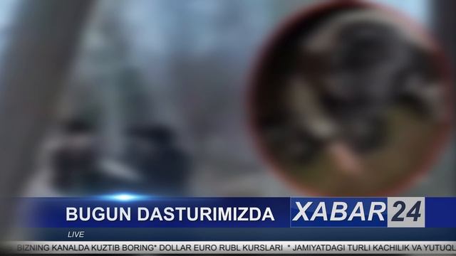 ДАХШАТ.УКРАИНА НИМА ХОХЛАЙДИ.ЎЗБДА НОХУШ ХАБАР. смотреть онлайн