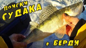 Подход за Подходом! КРУПНЯК СПИТ зовите БАТЮ! Зимняя рыбалка на реке Бердь. СУДАК зимой 2023!