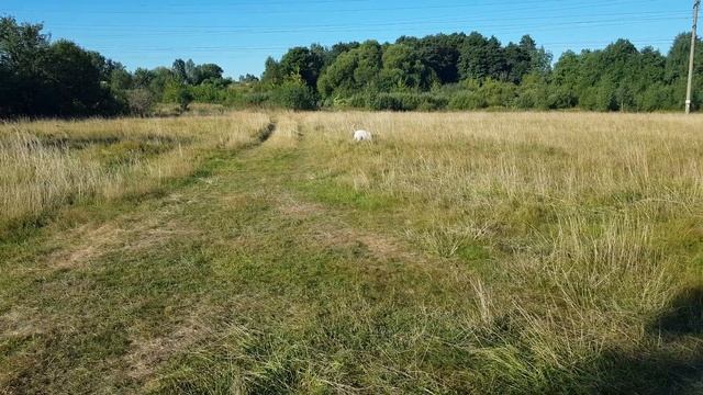 Джонник и мяч смотреть онлайн