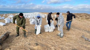 Больше 70 тысяч тонн загрязненного грунта собрали на побережье Кубани