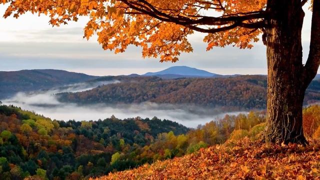 Порой осенней думать легче… смотреть онлайн