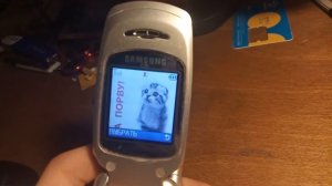 Samsung S300 обзор