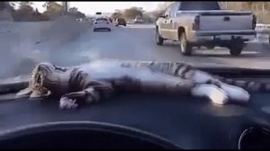 Едем с рыбалки.. Наловился, нажрался намаялся и обалдел от природы! Мои клипы.