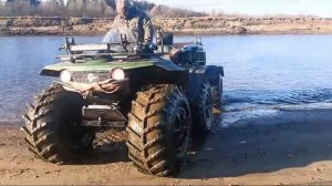 Сокол на воде.