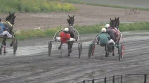 Бега-Заезд 4 лет. Абаканский ипподром 2017 ПРИЗ БОЛЬШОЙ ХАКАССКИЙ