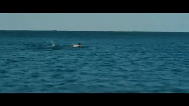 Собака, которая пила морскую воду смотреть онлайн