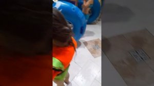 Аквапарк (АкваМир) Новосибирск